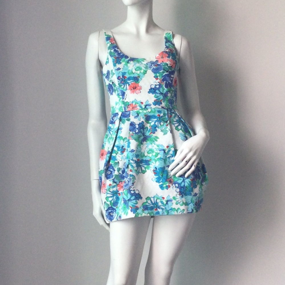 Zara Floral Fit & Flare Sleeveless Mini Dress